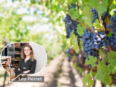 The essential grape varieties to have in your wine cellar 